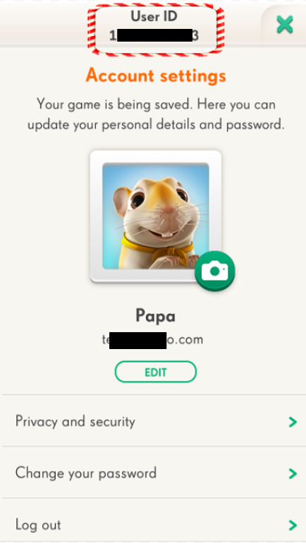 The profile page after you double-tap on the King logo and your player ID appears. It's a long number
